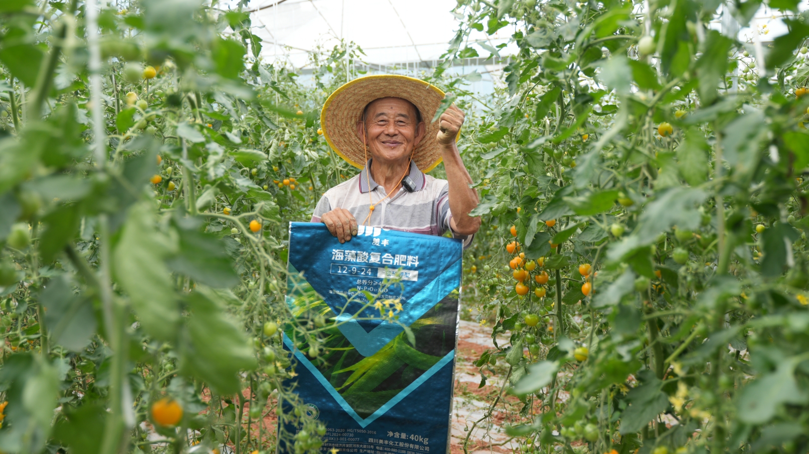 夏攻行動：“三夏”時節(jié)精準發(fā)力助豐收