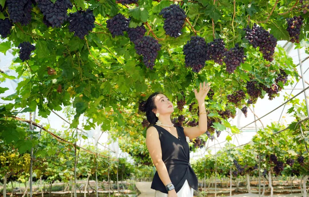 點(diǎn)開(kāi)豐收密碼   共享豐收喜悅